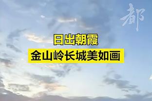 Woj：黄蜂立即开始寻新帅 国王、热火、绿军、太阳等队助教为候选